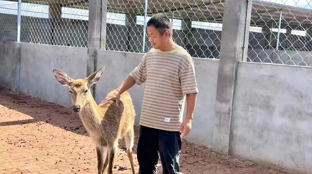 金沙总站网址