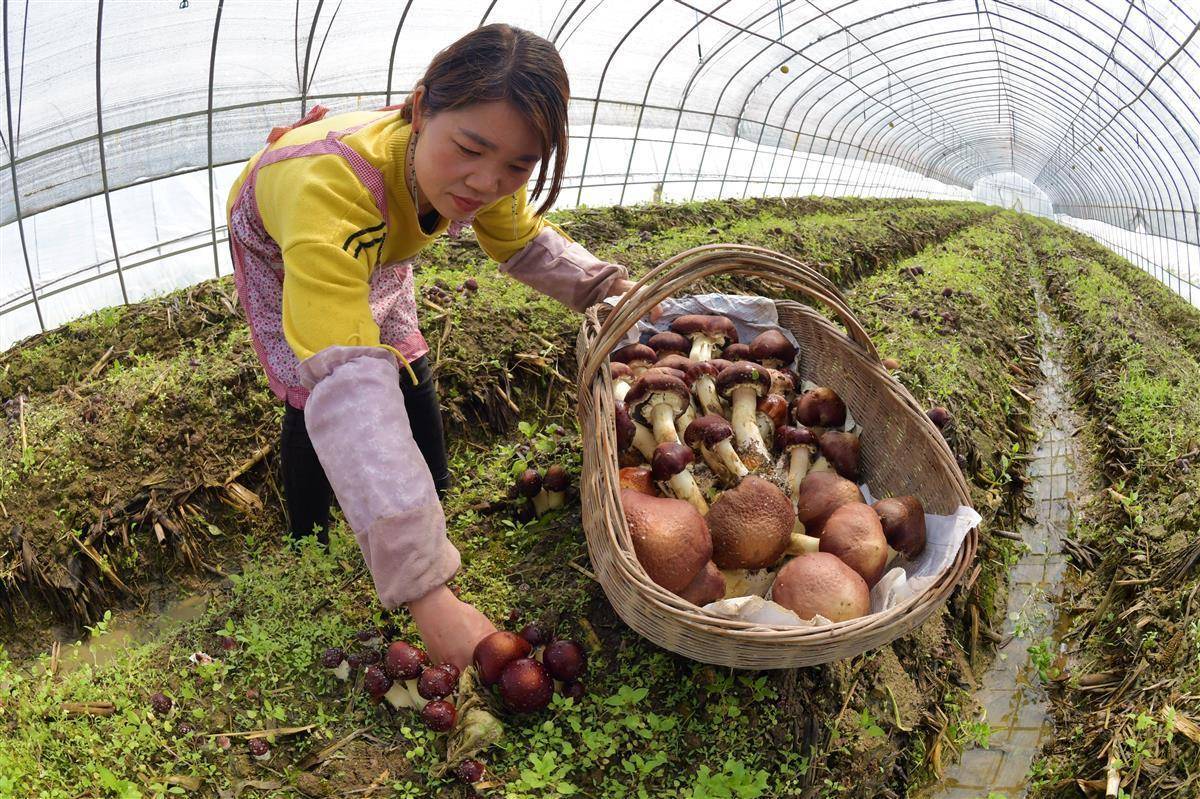 博狗游戏官方网站